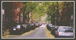 Greenwich / West Village