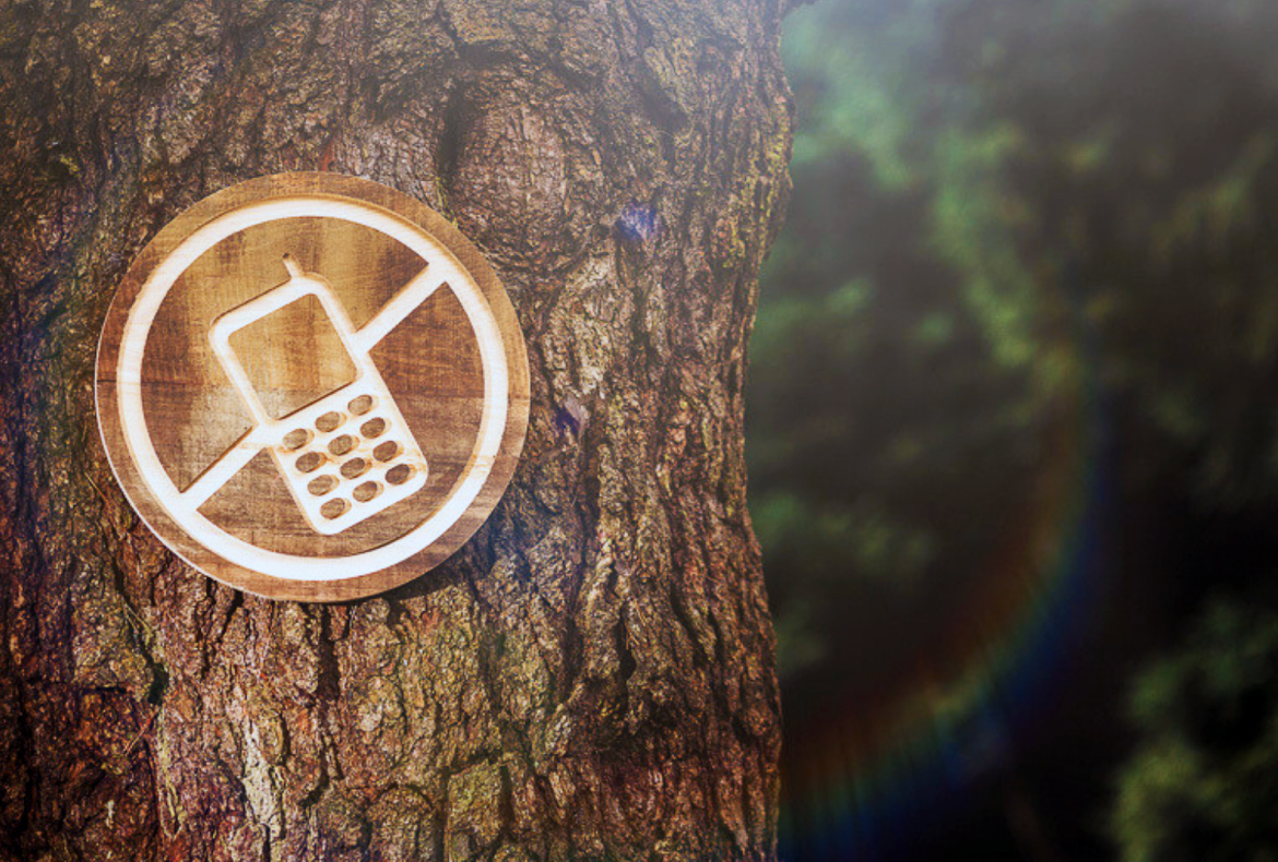 detox digitale
