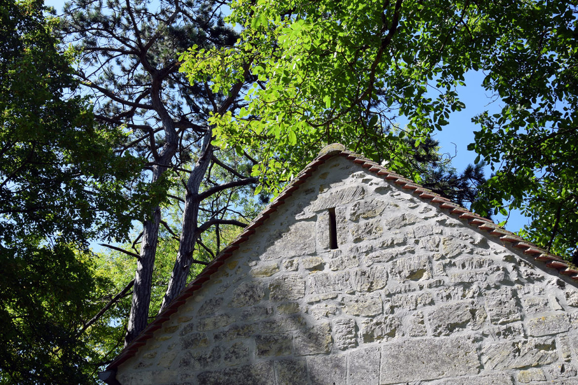 trande de pandémie 3